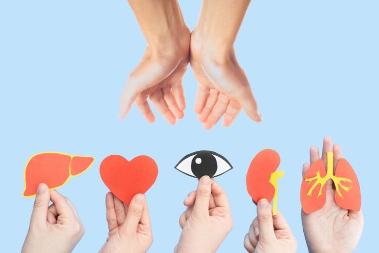 التبرع بالأعضاء ورسالة الأمل والشفاء