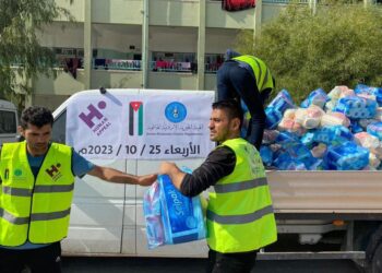 الهيئة الخيرية الأردنية الهاشمية مساعدات أردنية طبية وصلت غزة