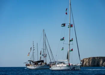 أسطول الصمود